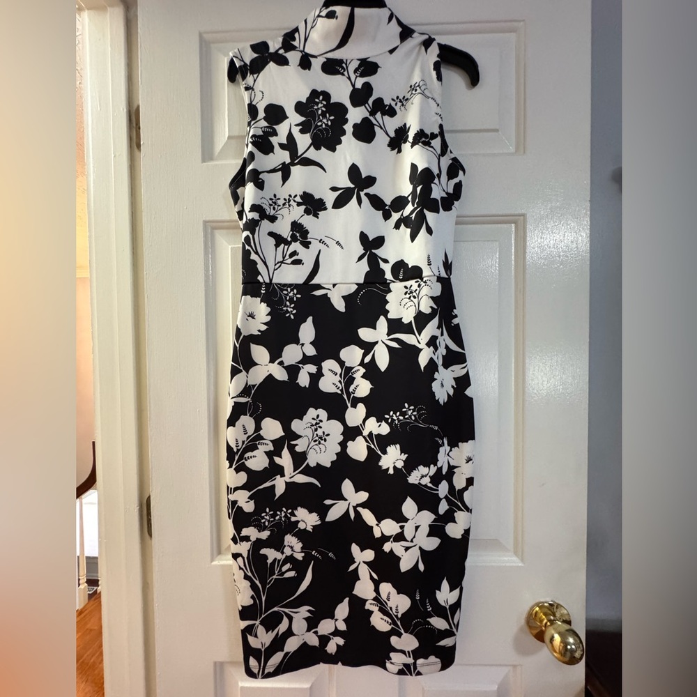 Venus Black & White Dress